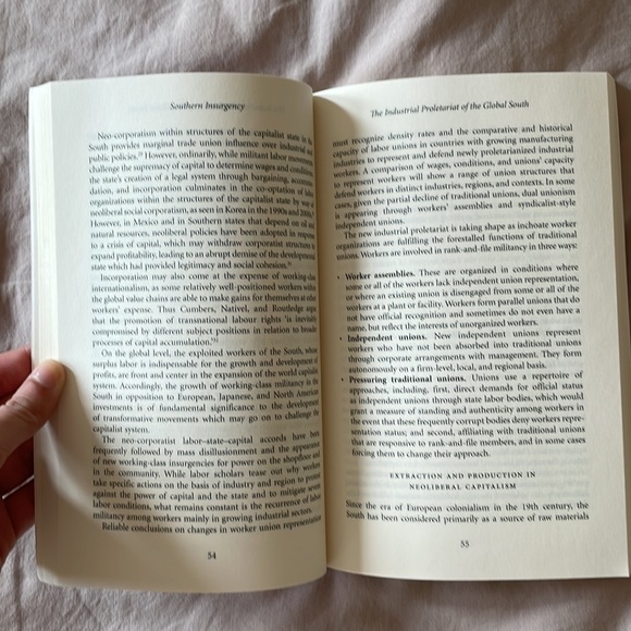 Southern Insurgency: The Coming of the Global Working Class (Wildcat) - Picture 4 of 5